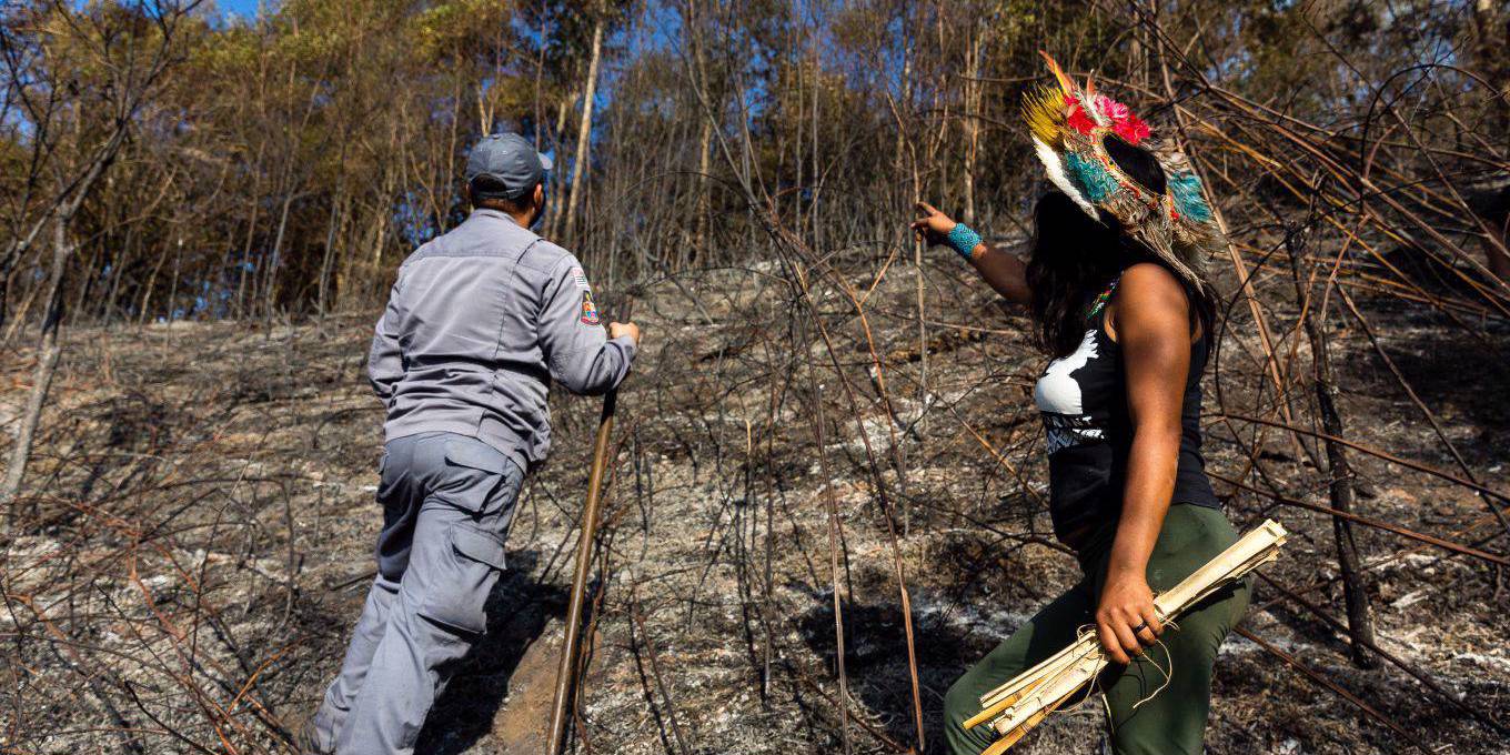 Zdrowa Ziemia Potrzebuje Rdzennych Mieszkańców