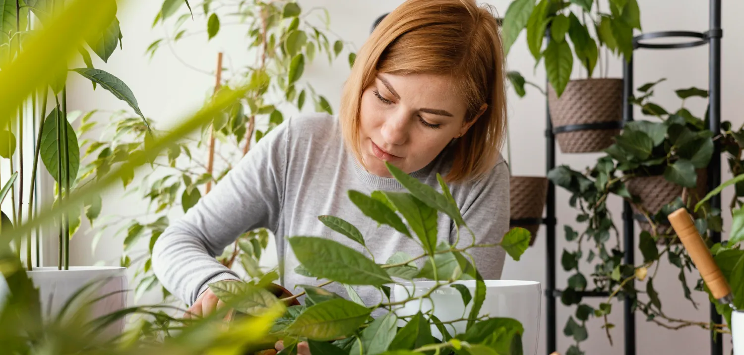 Po co jesteśmy, dokąd zmierzamy