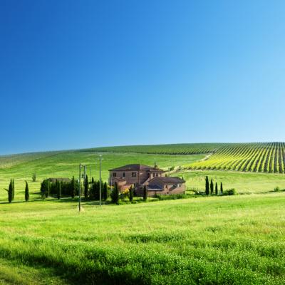 Shutterstock 108647036